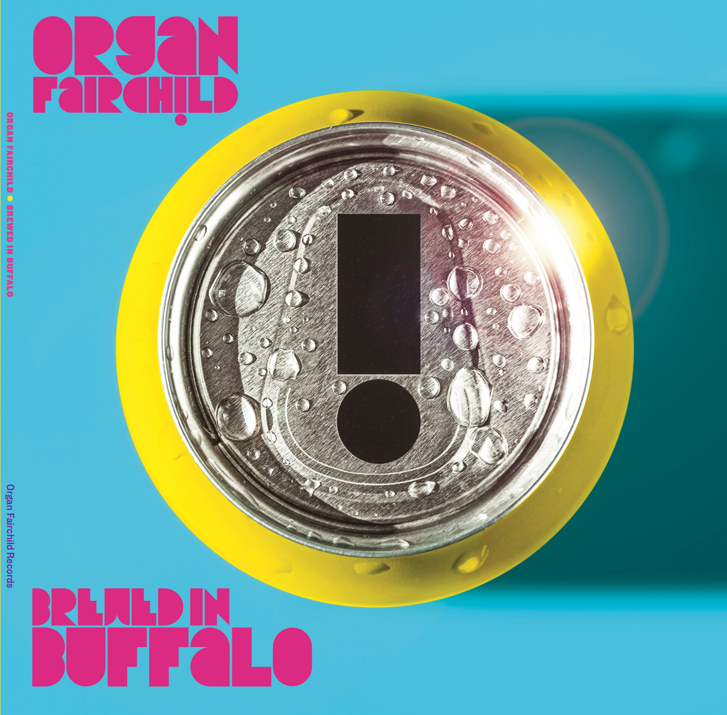 Brewed in Buffalo Double LP on 180-Gram Vinyl - Organ Fairchild